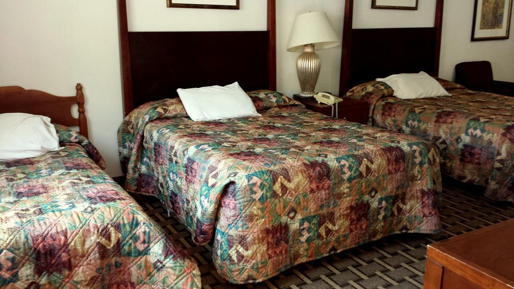 Executive Inn & Suites เลควิว ห้อง รูปภาพ